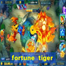 fortune tiger aposta de 1 real